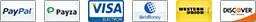 paypal footer